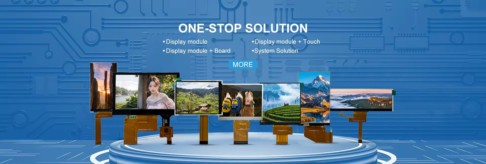 Qualität TFT-LCD-Display-Modul Fabrik